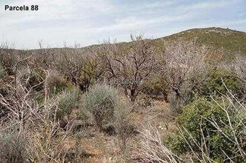 Foto 971869d1-d695-428c-b097-affd8744c847. Finca rústica (castellón). paraje "racó cervo", localizada en los polígonos 3 y 5 en Cabanes