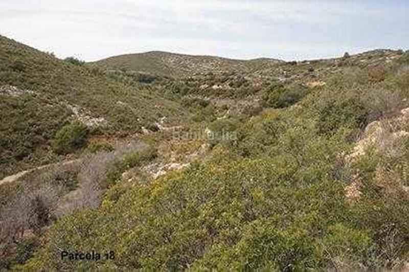 Foto ae02309b-98b4-4084-bac8-111203e7e4e3. Finca rústica (castellón). paraje "racó cervo", localizada en los polígonos 3 y 5 en Cabanes