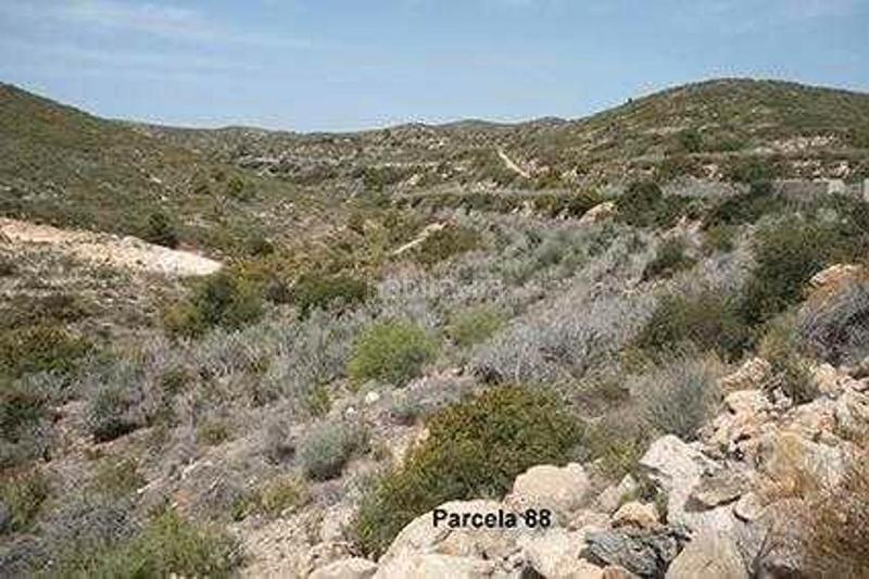 Foto b40f8223-d887-4c2a-9b56-68e95901e6d4. Finca rústica (castellón). paraje "racó cervo", localizada en los polígonos 3 y 5 en Cabanes