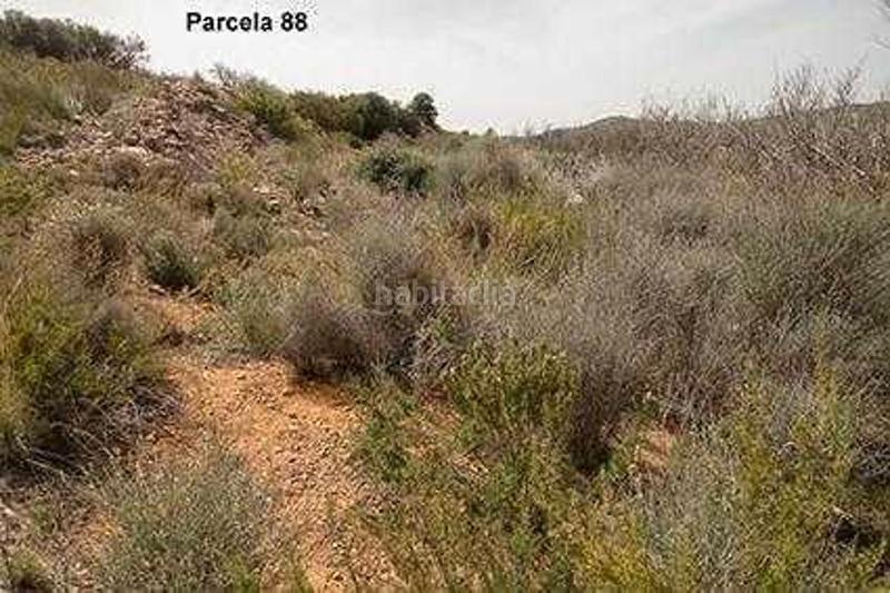 Foto ef116e57-f128-42ad-8b38-364a5c97bbf5. Finca rústica (castellón). paraje "racó cervo", localizada en los polígonos 3 y 5 en Cabanes