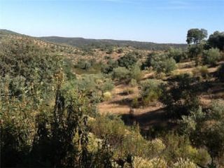 Landgut  N/a. Alcazarejos (córdoba).