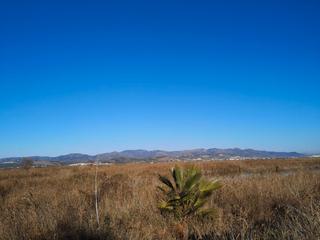 Propriété  Carrer assutzena. Llosa, la (castellón ). ptda molino bajo.