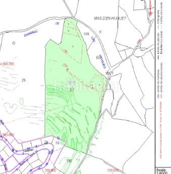 Foto 1be88299-605b-4d1b-a8ff-f01941701c73. Finca rústica a Riudecols