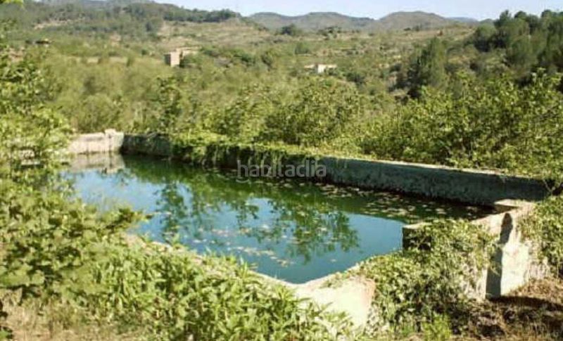 Foto d7a0a333-230d-4f14-96c1-a084a18ca594. Finca rústica a Riudecols