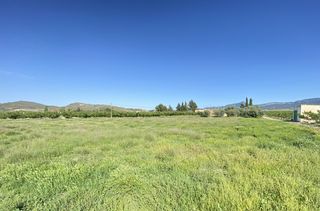 Rural plot  N/a. Jumilla (murcia ). praje roman pol 97 parc 28.