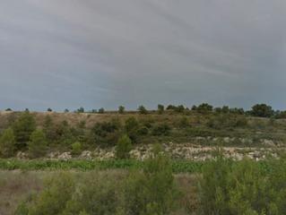 Rural plot  C-221. Batea  (tarragona ). ptda trufes.