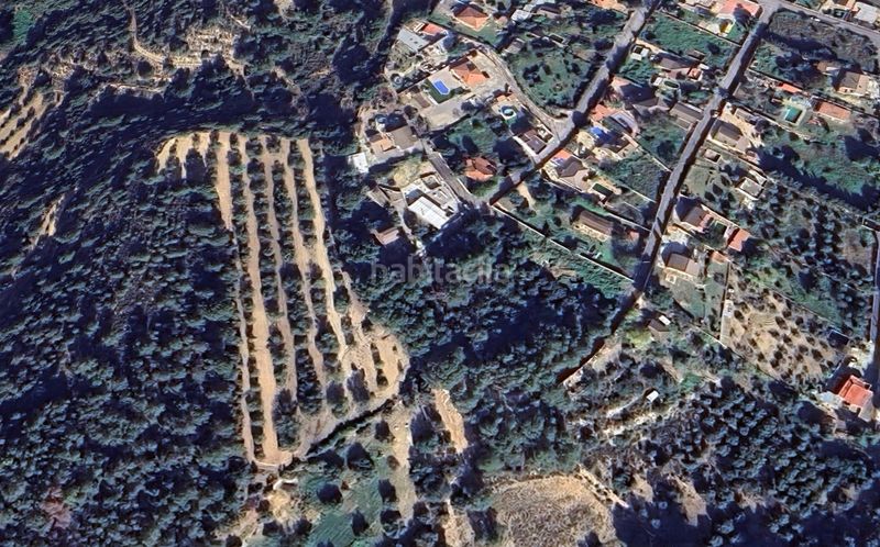 Foto ec673248-8f98-4466-abf4-1b7ee42f5923. Finca rústica a Poble Mont-roig del Camp