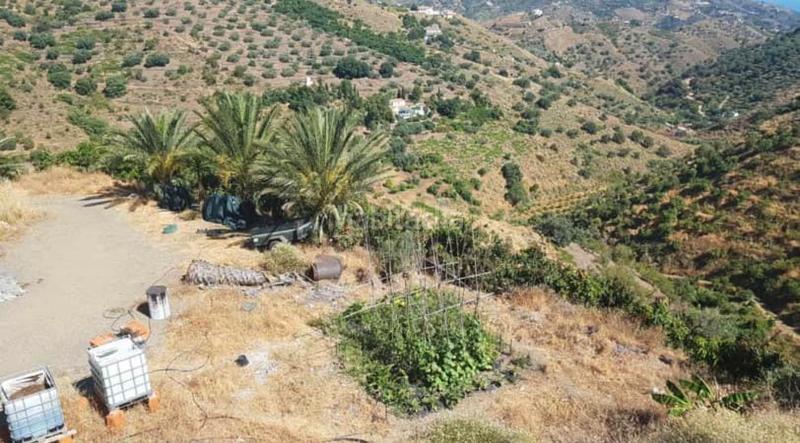 Foto 6cc91eba-1903-4cff-9757-b1112a6aae97. Finca rústica a Sayalonga