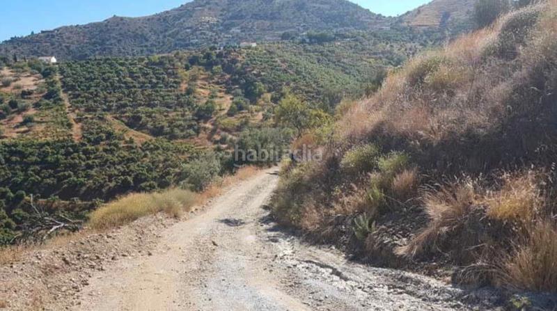 Foto 826605c4-3399-4ddf-94b0-75bf2417eaae. Finca rústica a Sayalonga