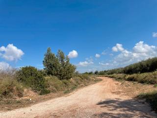 Finca rústica  N/a. Novelda (alicante ). lugar paraje cucuch.