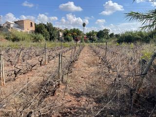 Finca rústica  N/a. Novelda (alicante). paraje "cucuch" (polígono 45). 7.725 m2.