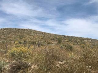 Finca rústica a Benizalón. Benizalón (almería ).  paraje honda polígono 8.