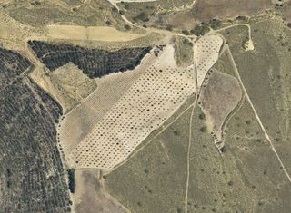Landgut in Cieza. Cieza (murcia). paraje "majariego" (polígono 6).