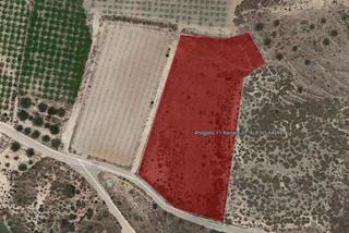 Rural plot in Aledo. Aledo (murcia ). ca del charco.