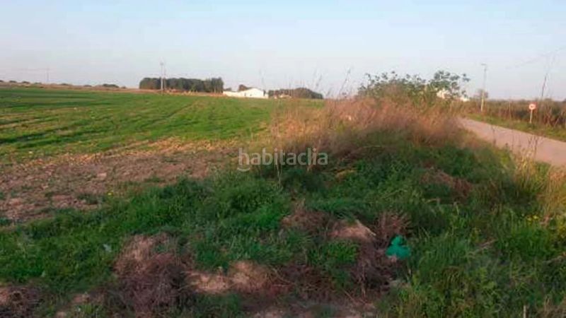 Foto 6215fb85-b98b-44b7-95ad-57be28fe3d4b. Finca rústica a San Miguel Murcia