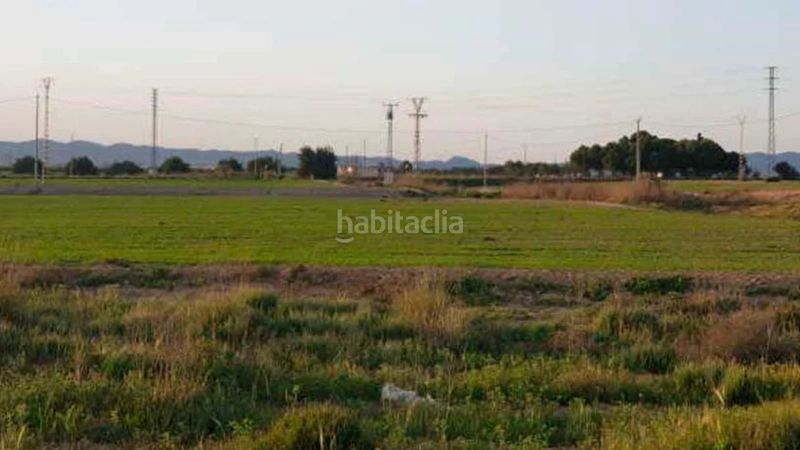 Foto 6b9ff851-bebf-4be9-8320-712cd66bfae5. Finca rústica a San Miguel Murcia