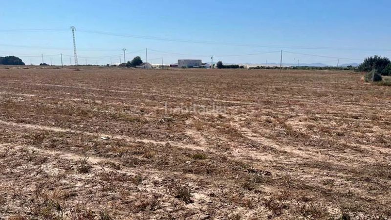 Foto a23adaa1-5afc-4e81-86c0-fd147b0f0224. Finca rústica a San Miguel Murcia