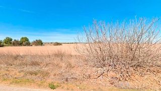 Rural plot in San Miguel. Murcia. lugar "la mariana y el cortijo".