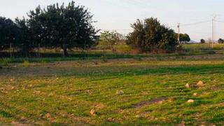 Rural plot in Valladolises y Lo Jurado. Murcia. lugar "la mariana y el cortijo".