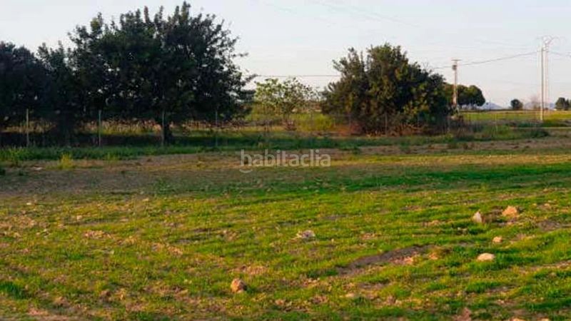 Foto aeb43313-ec41-42fb-879c-4746d43cb7b5. Finca rústica a San Miguel Murcia