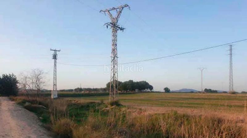 Foto d5fc708c-fb66-4b09-afaa-d28323e57abe. Finca rústica a San Miguel Murcia