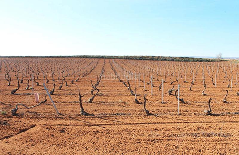 Foto 6b13c7a4-166e-4fa0-bd51-4f1cbc200530. Landgut in Pedro Muñoz