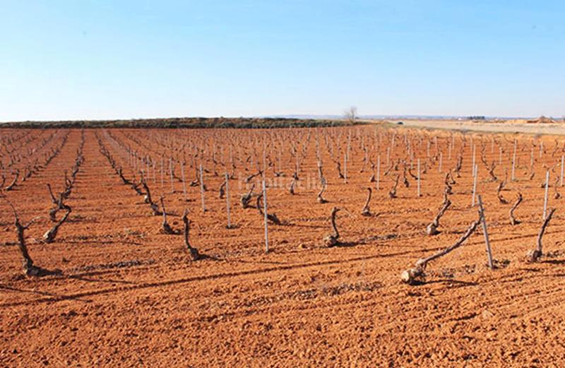 Foto a04531aa-1806-4c66-8913-4473996cedb3. Landgut in Pedro Muñoz