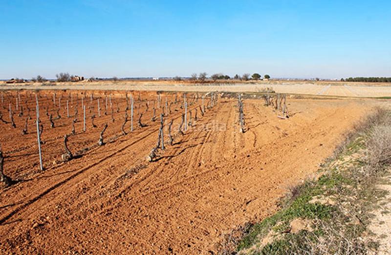 Foto a196d573-d20d-4e5e-ac76-f2d29479fbba. Landgut in Pedro Muñoz