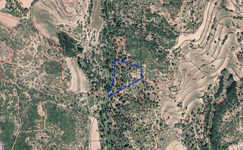 Foto ce088270-7968-4a0f-a3fa-8664366c6bbf. Finca rústica (castellón) en Cortes de Arenoso