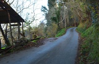 Rural plot in Parroquias surorientales. Villaviciosa (asturias). lugar "los llanos".