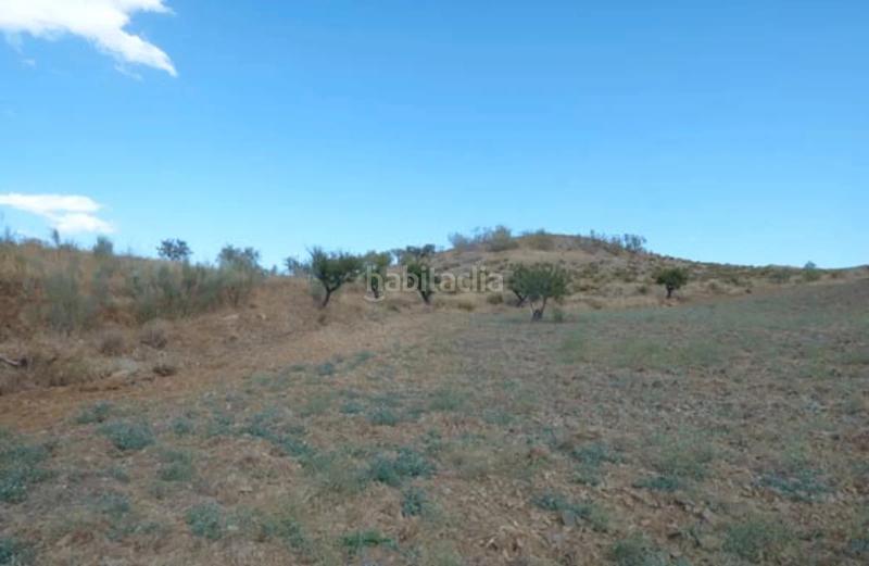 Foto 2c3e10c6-ce69-4a7e-bf91-e350c1a7865c. Finca rústica (almería). paraje barranco juan mozo. en Tahal