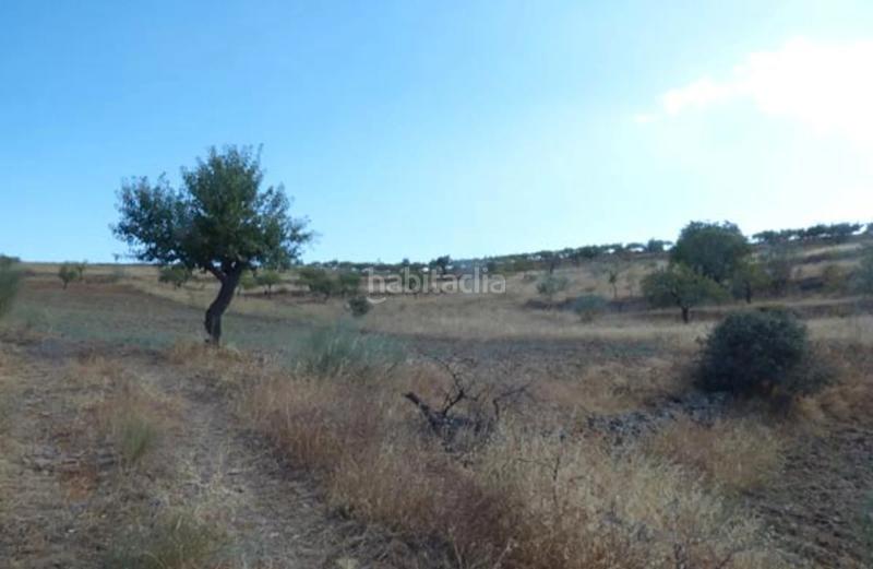 Foto cb9d06eb-1710-4cfb-9957-10a1761f77db. Finca rústica (almería). paraje barranco juan mozo. en Tahal