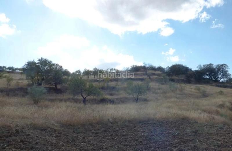 Foto da67767e-a881-4921-aef4-2b0a69a2407c. Finca rústica (almería). paraje barranco juan mozo. en Tahal