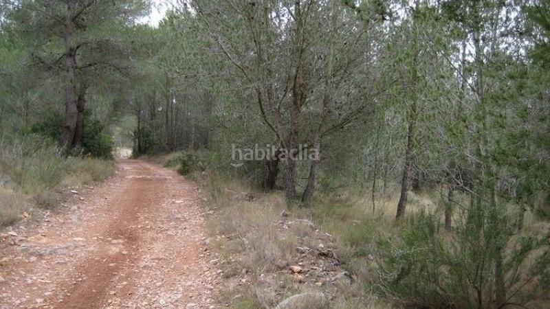 Foto 139bab92-6b60-4173-b368-1f71bdee7697. Finca rústica (castellón). polígono 9. en Cabanes