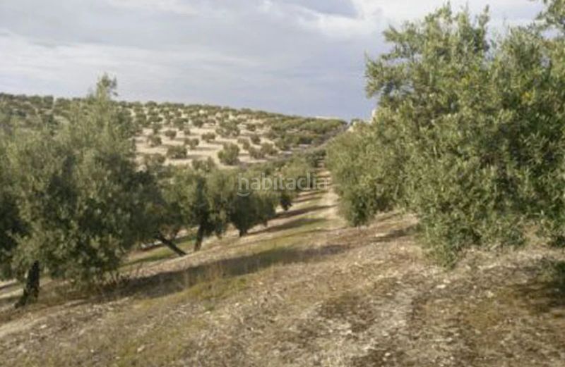 Foto 236bfd40-e9d8-4227-b307-14c3bb2fc7a1. Finca rústica a Fuerte del Rey
