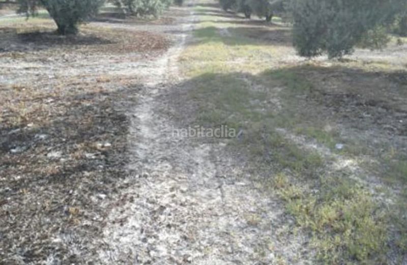Foto facddc37-992c-424d-b4f8-054d5cb00e01. Finca rústica a Fuerte del Rey