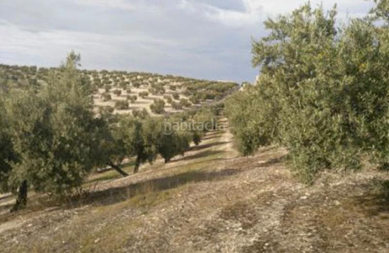 Foto 236bfd40-e9d8-4227-b307-14c3bb2fc7a1. Finca rústica torredelcampo (jaén). paraje hoyuela (polígono 18). en Torre del Campo
