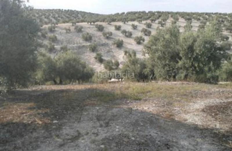 Foto 49d89bdd-2eb8-4394-9452-f773d2b85d84. Finca rústica torredelcampo (jaén). paraje hoyuela (polígono 18). en Torre del Campo