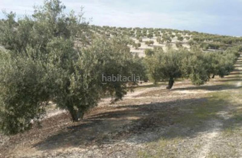 Foto e95b76ac-c001-4fa3-93d0-45bc662dcabc. Finca rústica torredelcampo (jaén). paraje hoyuela (polígono 18). en Torre del Campo