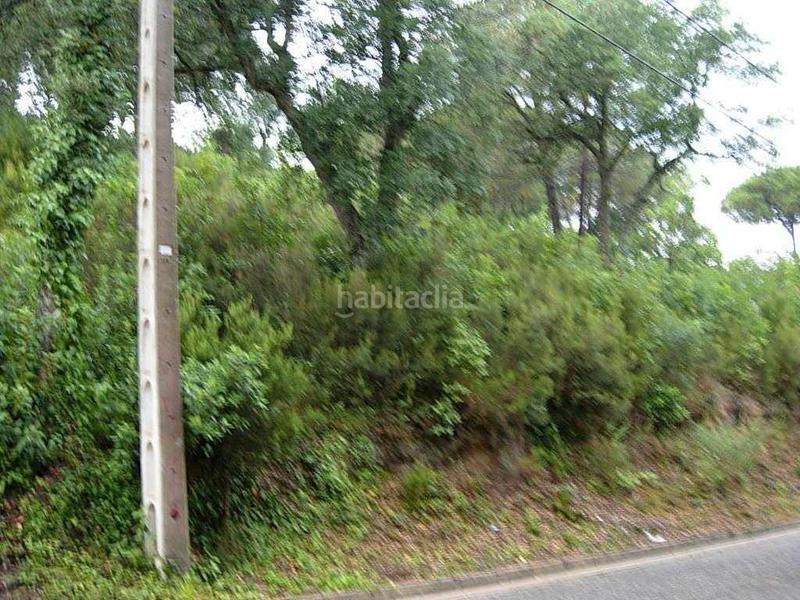 Foto 59eb13d5-6743-4b10-9fe5-86a301db76af. Terreno residencial (gerona). en Montbarbat Maçanet de la Selva