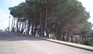 Terreny residencial a Calle Avet