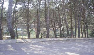 Terreny residencial  Calle avet. Riudarenes (gerona). c/ avet (can fornaca).