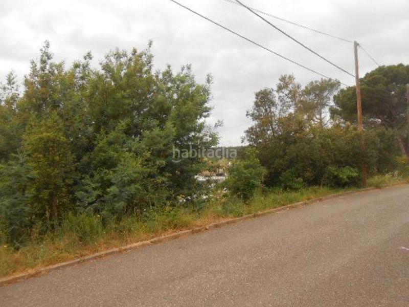 Foto 7e20f15f-3c90-45e1-928d-8d7924685efd. Terreno residenziale in Mas Altaba - El Molí Maçanet de la Selva