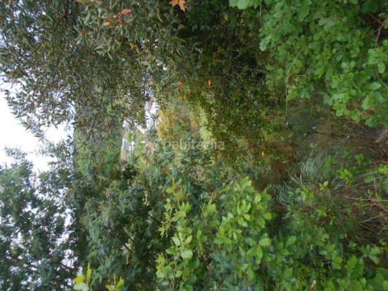 Foto ddfa7557-7fd5-4e67-9158-b32de82b0ca1. Terreno residenziale in Mas Altaba - El Molí Maçanet de la Selva