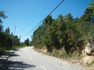 Terreno residencial  Carrer pollancre. Riudarenes (gerona). c/ pollancre, 54 (can fornaca).