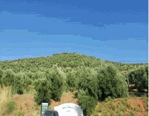 Finca rústica en Navas de San Juan. Navas de san juan (jaén). lote formado por tres fincas rústicas