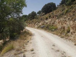 Finca rústica  N/a. Huelma (jaén). paraje "cañón de cabrita".
