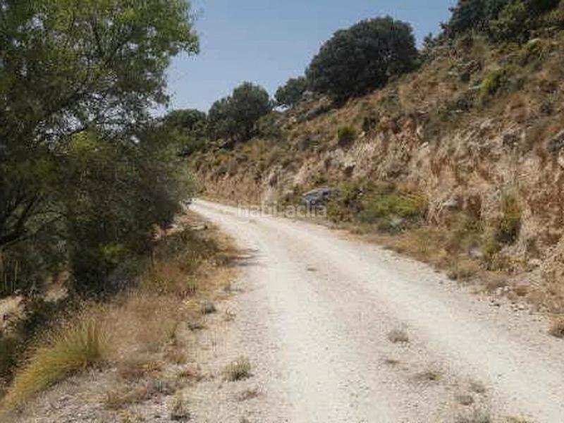 Foto 4d66d85d-b6ad-462e-9dbe-aff77bf6418a. Propriété dans Huelma