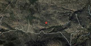 Finca rústica en Martos. Martos (jaén). lote formado por tres fincas rústicas