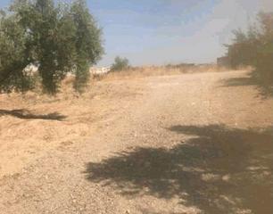 Rural plot in Puente Jontoya - Puente de la Sierra - El Arroyo. Jaén. paraje "zumbel". terreno rústico
